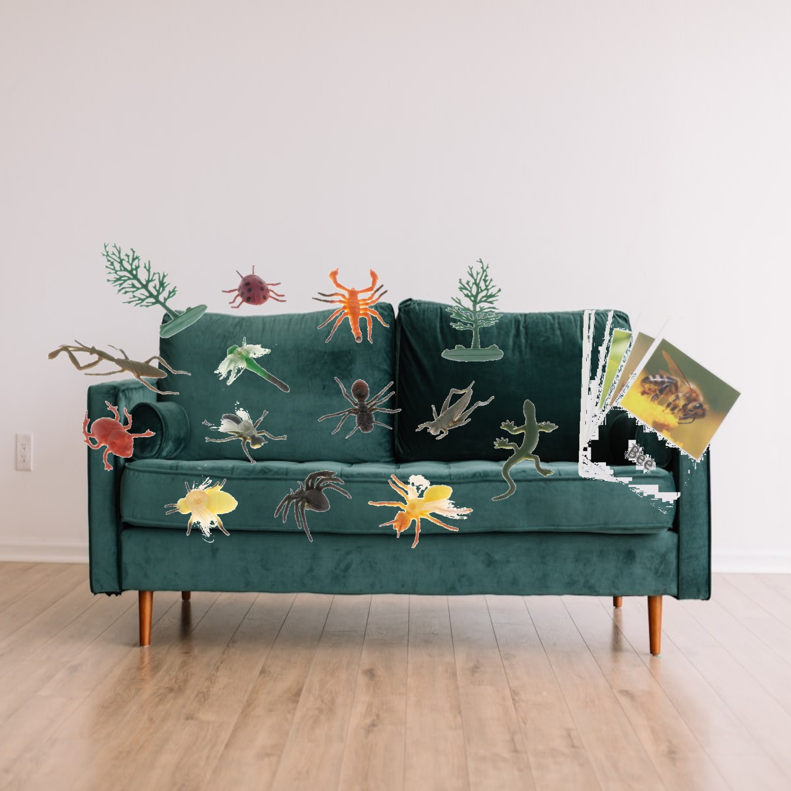 Flaş Kartlı Montessori Hayvan  - Science Nature incelemesi ve fiyatı