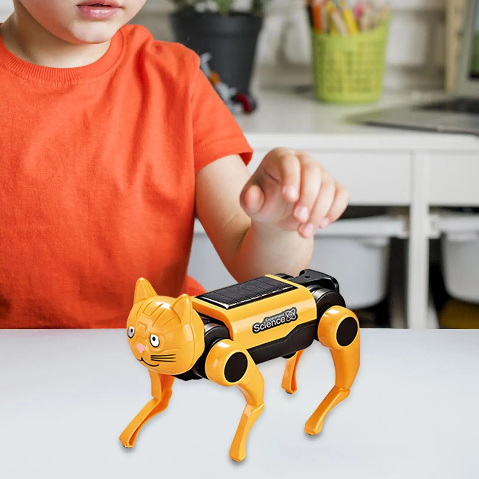 2IN1 Güneş Robot Köpek Değişti - Science Project Robot incelemesi ve fiyatı